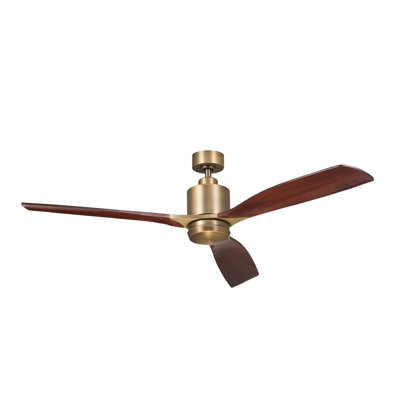 Ridley 60'' Ceiling Fan with LED Lights