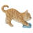 Kitten Mopping the Floor