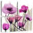 Harnek Luscious Field-109163472