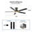 52" Smart Ceiling Fan with Light-88561901-88561897