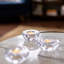 Shell Tealight