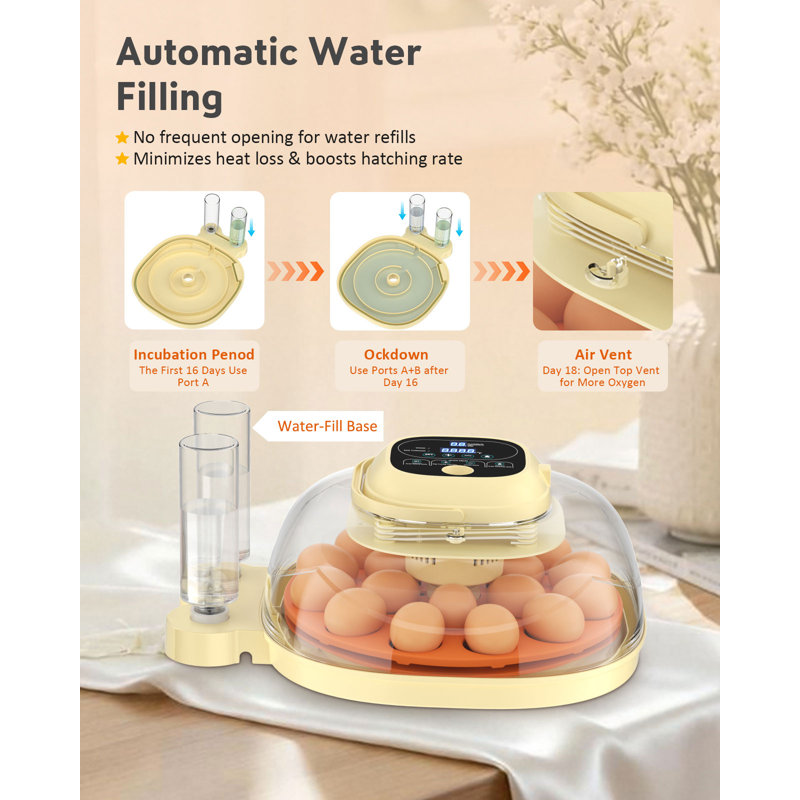 Egg Incubator