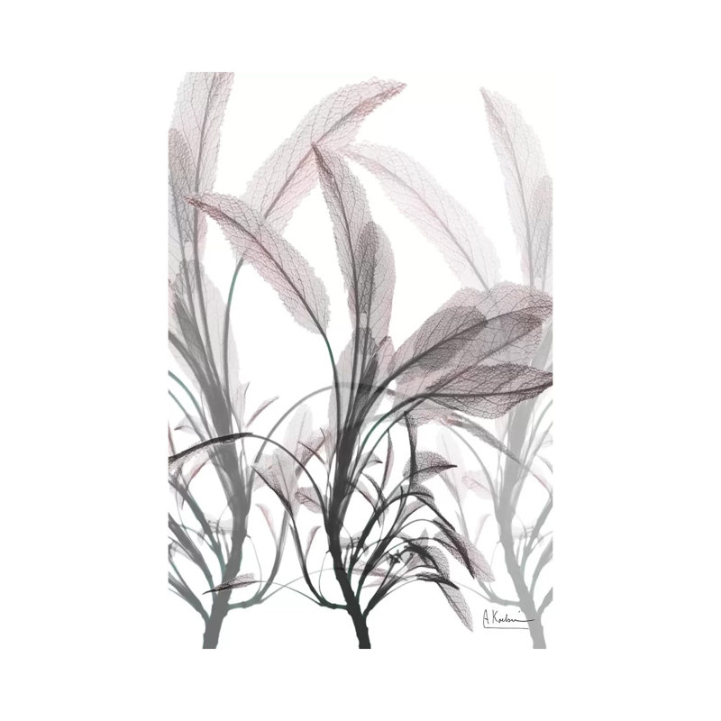 Plentiful Embrace II by Albert Koetsier - Wrapped Canvas Print, 20.32 cm H x 30.48 cm W