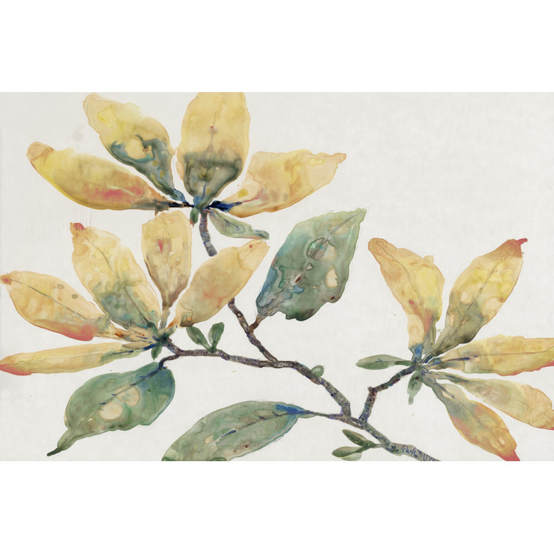 UA CH Flowering Branch II by Tim OToole - Wrapped Canvas Painting, 30cm H x 46cm W x 3.8cm D