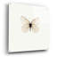«White Butterfly» par Photoinc Studio, art mural en verre acrylique-888331347