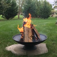 Wrought Studio Eckard Raised Cast Iron Wood Burning Fire Pit & Reviews