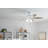 52'' Ceiling Fan with Light Kit-1329633895