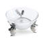 Farmer's Market Glass Dessert Bowl
