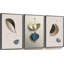 Luxueux aluminium encadré, ensemble de 3 reproductions d'art encadrées sur toile-53390278-53390277