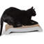 Grattoir pour chat