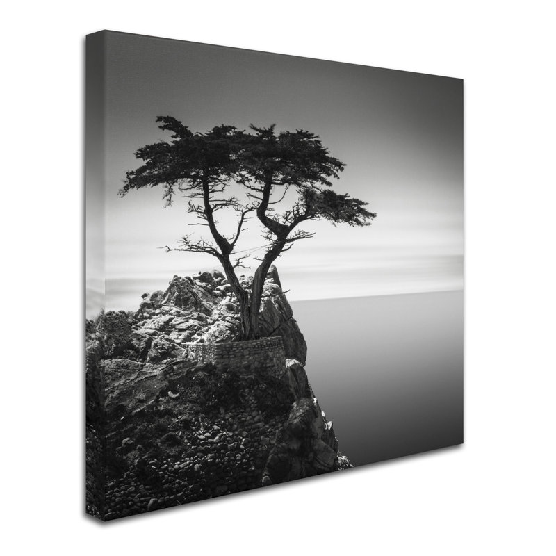 « the solitaire cypress », reproduction de photo sur toile tendue, H 35 po x l 35 po x P 2 po