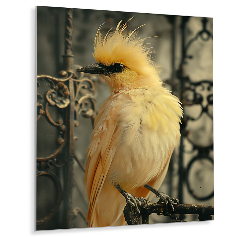 Élégance d'oiseaux en cage jaune et noir, H 32 po x l 16 po x P 1 po, Métal métal