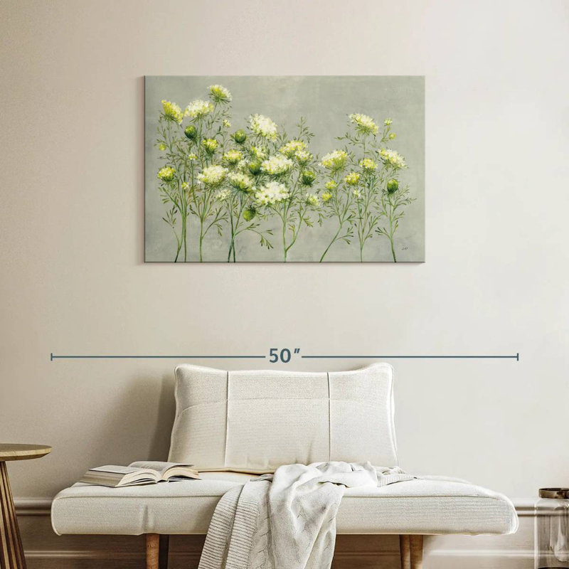 Queen Anne's Lace, H 24 po x l 36 po