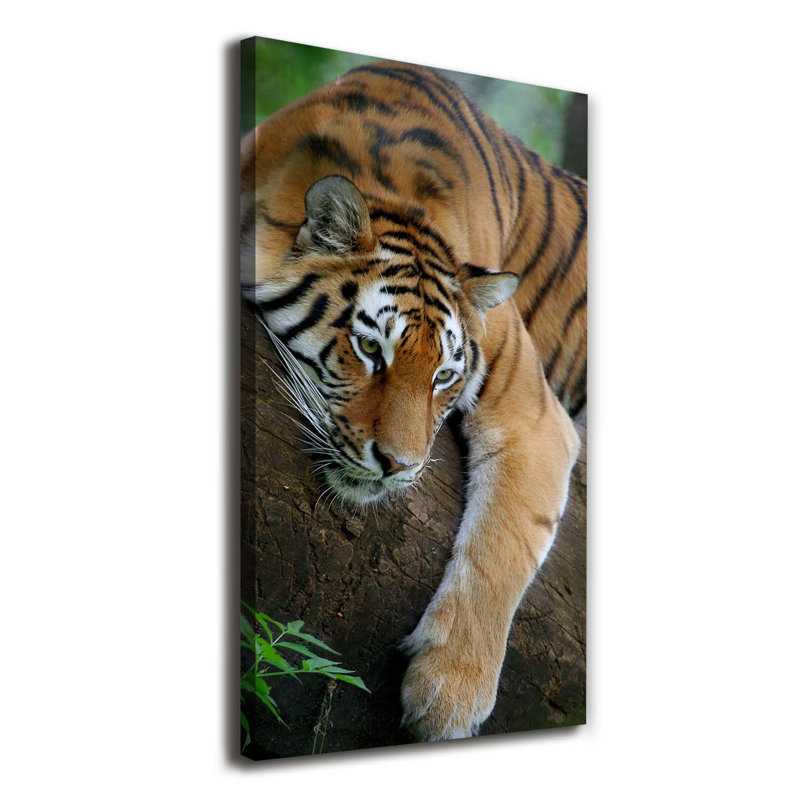 Tiger On The Tree - Wrapped Canvas Print