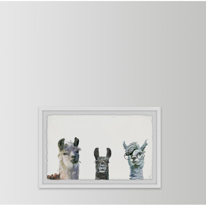Art encadré Agawam Llama Squad, H 12 po x l 18 po, Cadre blanc