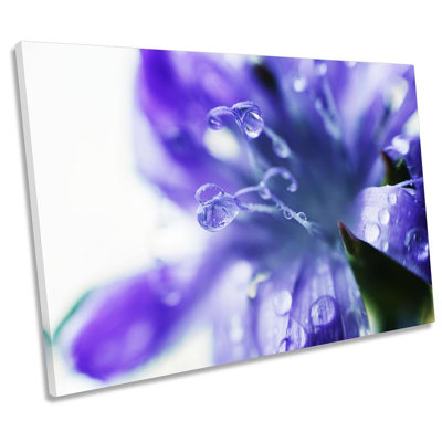 Flower Blossom Dew Floral Framed - Wrapped Canvas Print