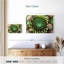 Harnek fleur comme plantes grasses-107707758