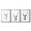 Young Buck S croquis I - reproduction sur mesure encadrée de qualité supérieure - 3 pièces-1413041672-1413041685