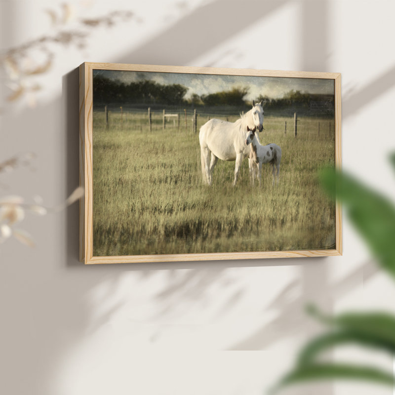 Mare and Colt -Framed Print - Restickable, H 8 po x l 10 po, Naturel