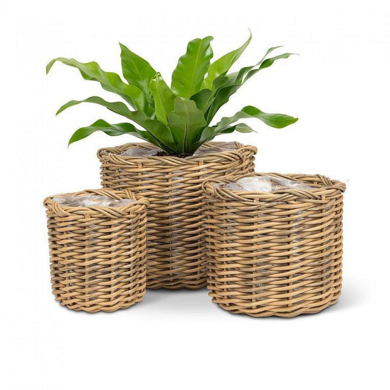 Set Of 3 Willow Look Round Baskets