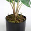 53cm Faux Philodendron Plant in Pot