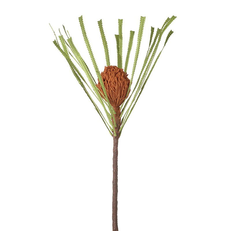 Arrangement
