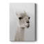 Lama doux - galerie Cavas sur mesure-117715163