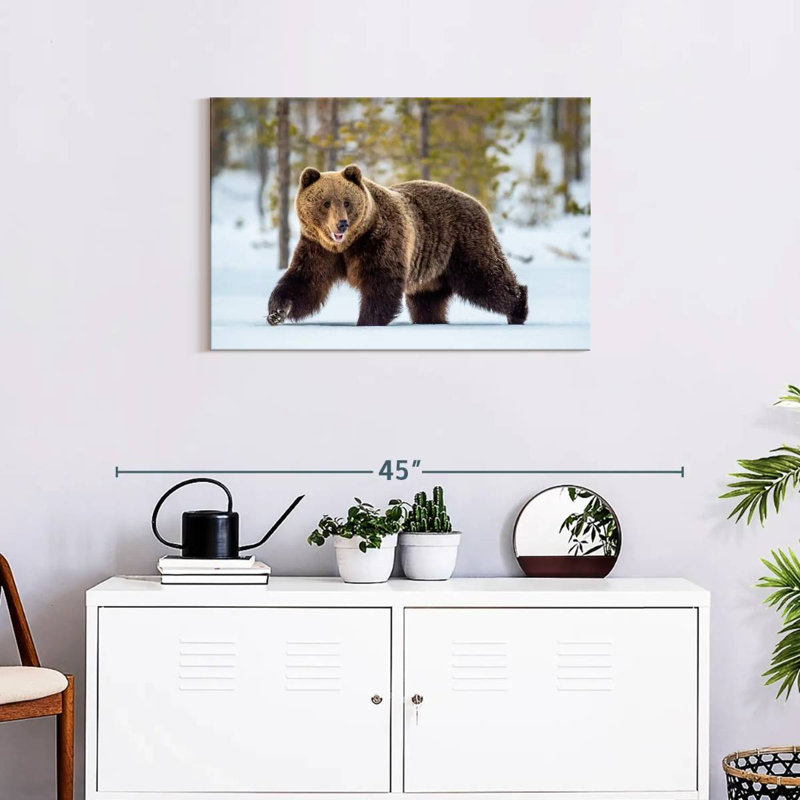 Adult Grizzly Bear, 20" H x 30" W