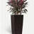 30 in Tall Large Flower Pots Planter with Self-Watering Drainage Holes&Inner Trays Indoor Outdoor Plant Pot with Drain Holes, Water Level Monitor, Inner Bucket for Garden, Patio, Porch, Backyard,Brown-1092659521-1092659524-1092659578