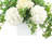 Hydrangeas and Ivy in Square Fiberstone Pot