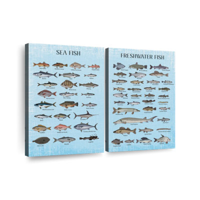 «Fish Types», reproduction d'art sur toile