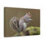 No Frame Print on Canvas