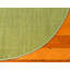 Tapis traditionnel Wingate couleur lime