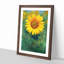 The Sunflower - Picture Frame Painting Print-56855638-56855639