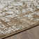 Ariahna Abstract Indoor Rug