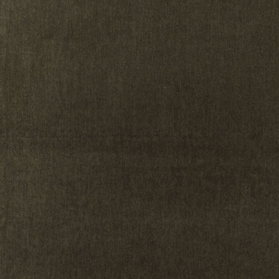 Whistler Velvet Fabric