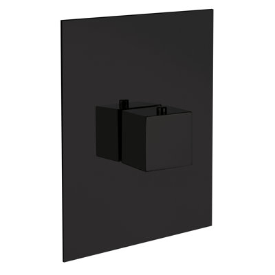 Quadro Thermostatic Valve Trim Kit, Valve Required