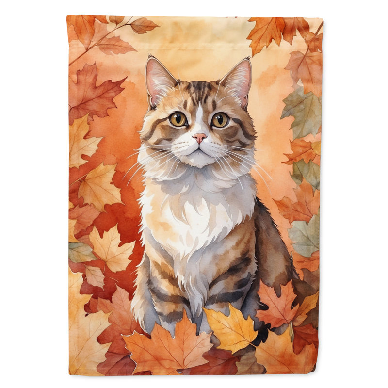 Chat en feuilles d'automne, Chantilly Tiffany
