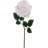 20" Open Rose Stem - 12 Pack