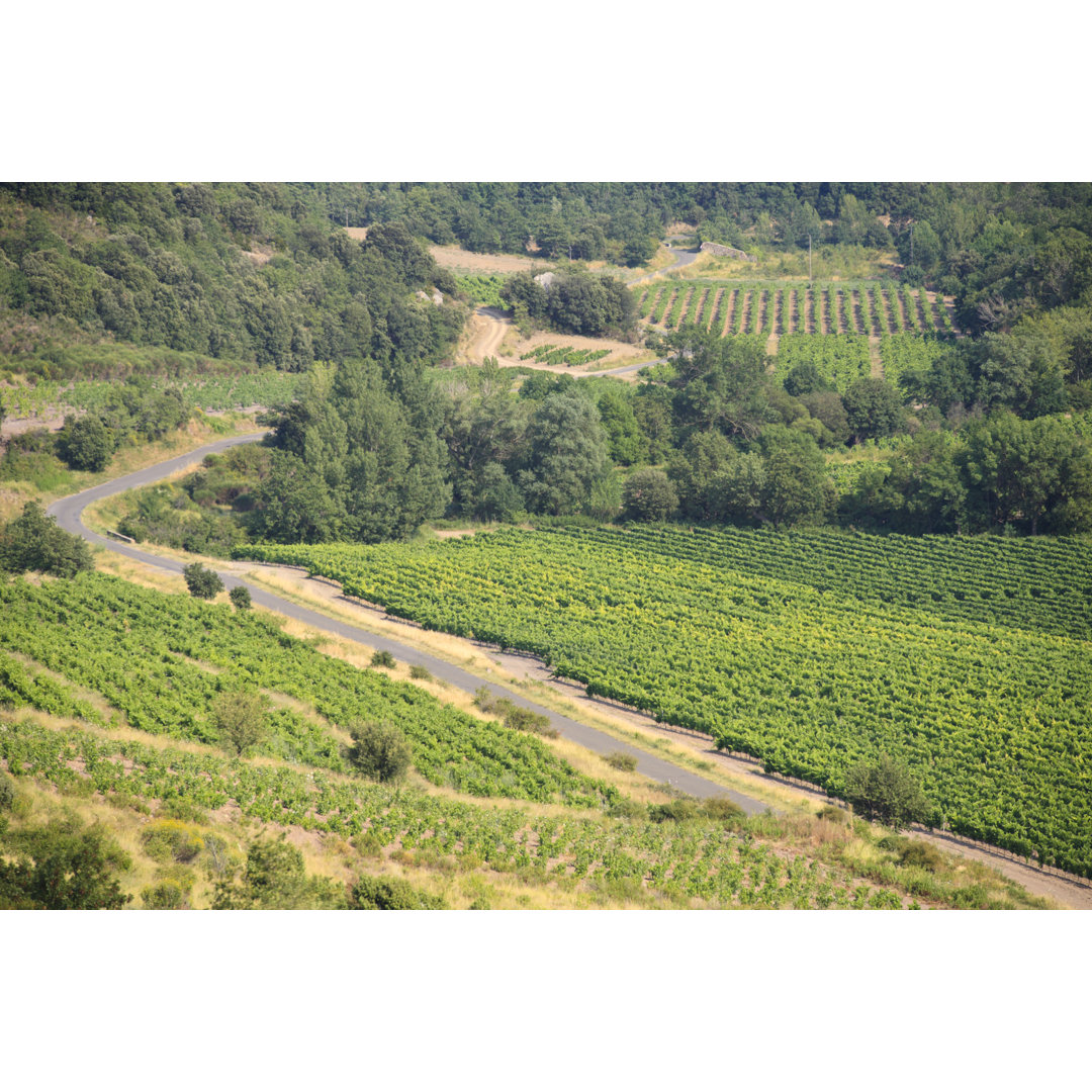 Straße durch die Weinberge - CorbiÃ¨res, Frankreich von Bunhill - Druck ohne Rahmen auf Leinwand