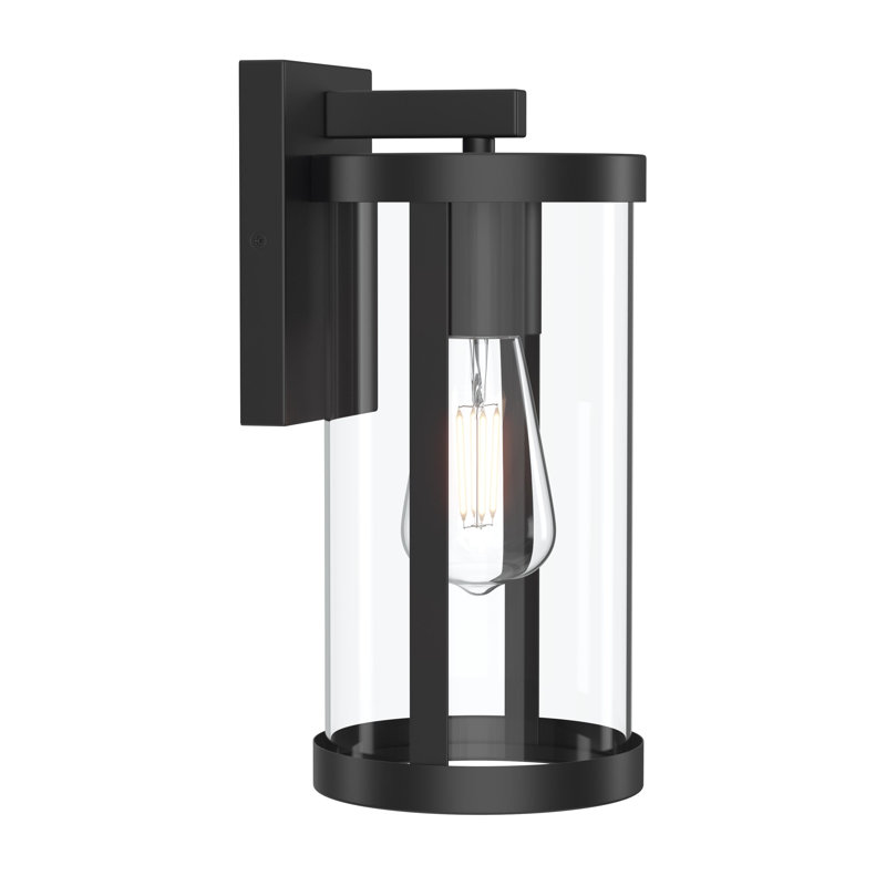 Kagen 1-Light Medium Outdoor Wall Light with Clear Glass Panels, Matte Black, 12"