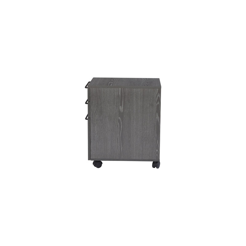 Tarbes 3-Drawer Mobile Vertical Filing Cabinet, Gray