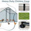 Emmeric Walk In Chicken Run-335317304-334501121