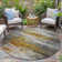 Machine Washable Indoor/Outdoor Xhevrie Copper Rug