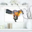 « running fox illustration », peinture-29495631-34272976