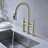 Demana Pull Down Kitchen Faucet-63926198