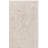 Reflection Performance Oriental Indoor Rug-479941859