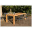 Patio Dining Armchair-1787886410