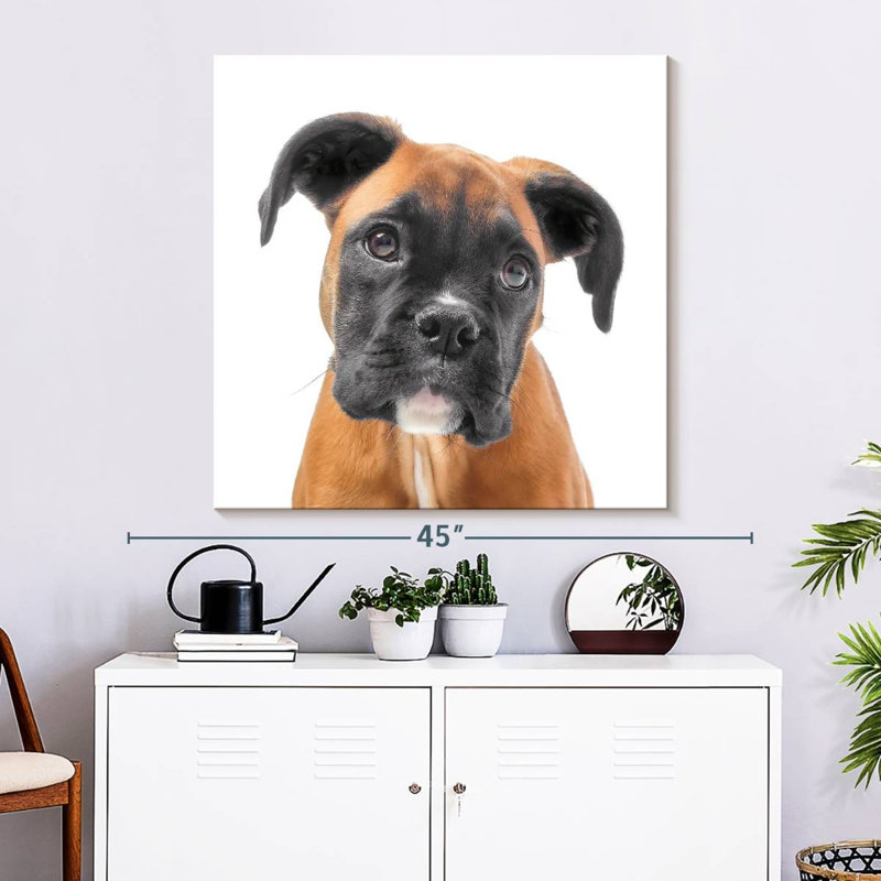 Tyson, 33" H x 33" W