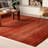 Franchester Indoor Rug-252223269